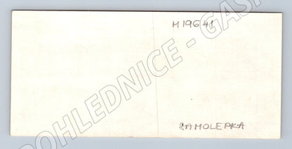 Pohlednice Krkonošský národní park Jelen evropský (M19641)