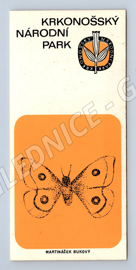 Pohlednice Krkonošský národní park Martináček bukový (M19642)