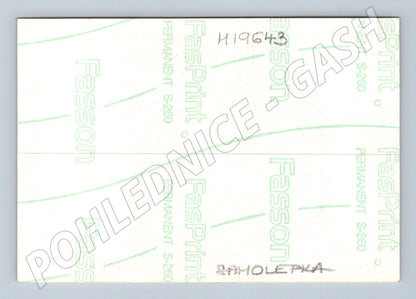 Samolepka Krkonošský národní park sovy na větvi (M19643)