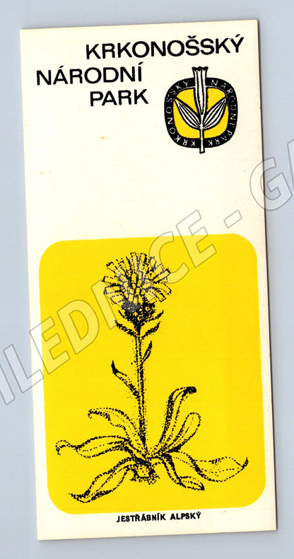 Samolepka Krkonošský národní park Jestřábník alpský (M19645)