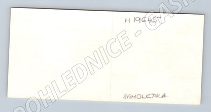 Samolepka Krkonošský národní park Jestřábník alpský (M19645)