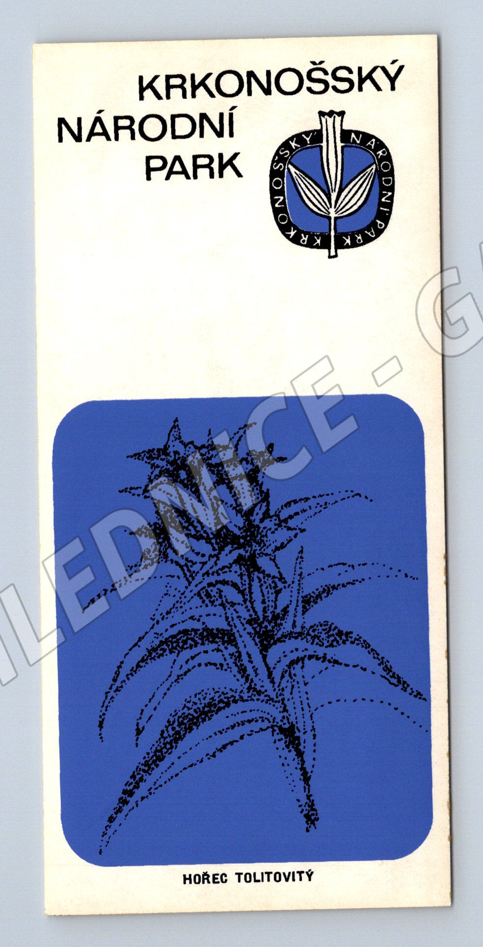 Samolepka Krkonošský národní park hořeč tolitiovitý malý for (M19646)