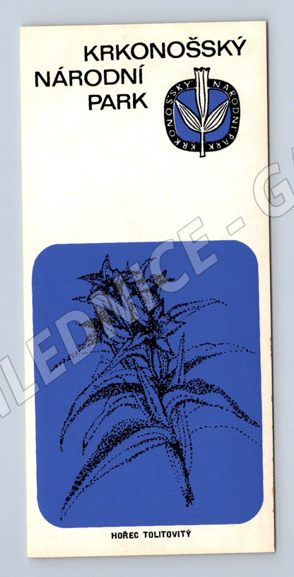 Samolepka Krkonošský národní park hořeč tolitiovitý malý for (M19646)