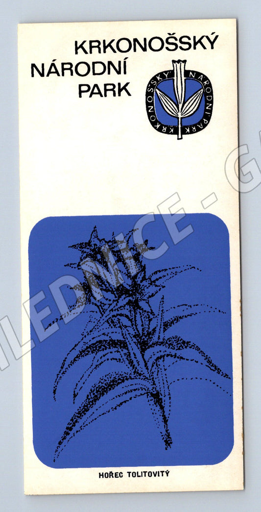 Samolepka Krkonošský národní park hořeč tolitiovitý malý for (M19646)