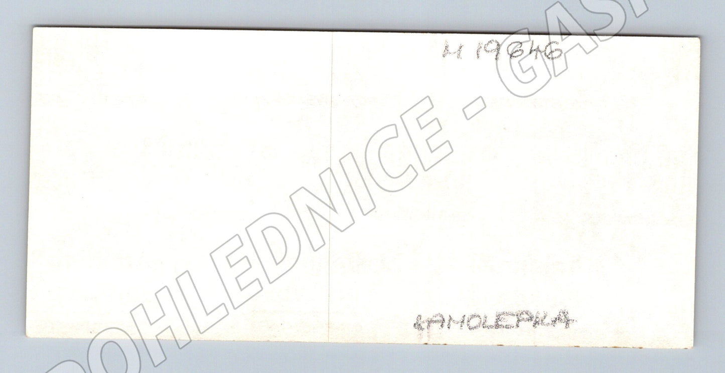 Samolepka Krkonošský národní park hořeč tolitiovitý malý for (M19646)