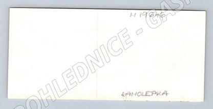 Samolepka Krkonošský národní park hořeč tolitiovitý malý for (M19646)