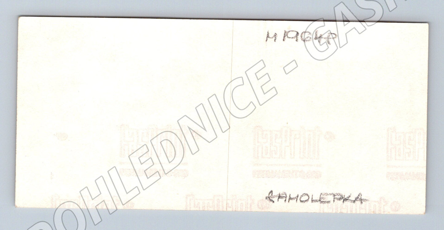 Samolepka Krkonošský národní park prvosenka nejmenší samolep (M19648)