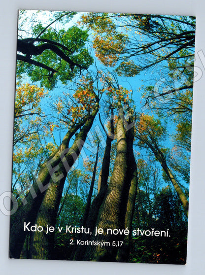 Pohlednice Náboženská stromy Bible ČR použité známky (M19651)