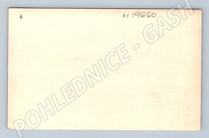 Pohlednice Asie řeka kuželovité hory vodní ptactvo (M19660)