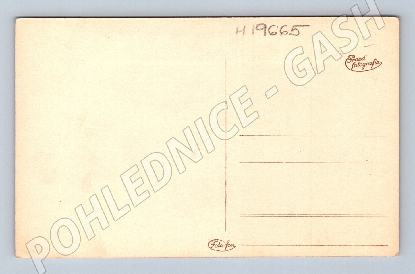 Pohlednice česká krajina s břízami malý formát Pravá fotograf (M19665)