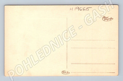 Pohlednice česká krajina s břízami malý formát Pravá fotograf (M19665)