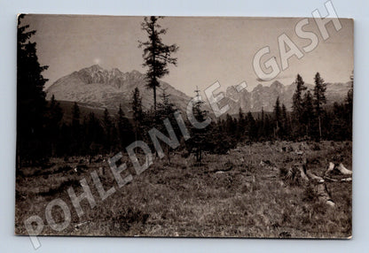 Pohlednice horská krajina les Tatry malý formát (M19667)