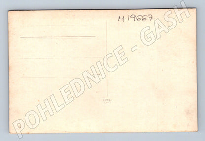 Pohlednice horská krajina les Tatry malý formát (M19667)