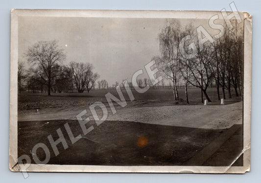 Pohlednice venkovská silnice a stromy čb fotografie (M19669)