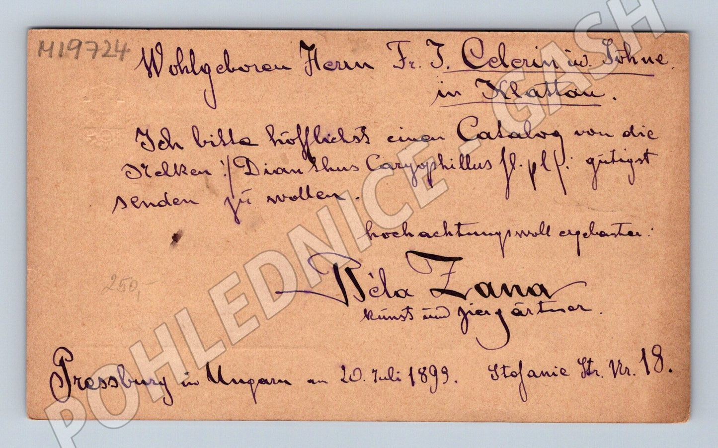 Pohlednice Uhersko Pressburg do Klatov poštovní historie (M19724)