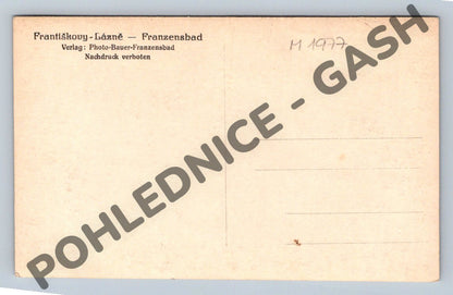 Pohlednice Františkovy Lázně fontána (M1977)