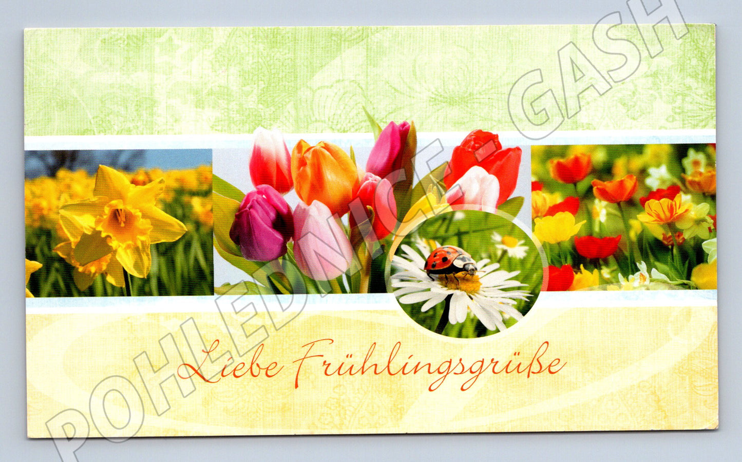 Pohlednice Jarní květiny a beruška Německo ručně psaná (M19781)