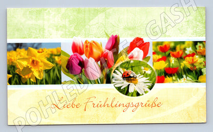 Pohlednice Jarní květiny a beruška Německo ručně psaná (M19781)