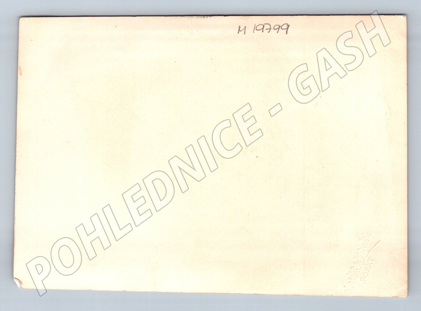 Pohlednice Svatební ateliérová fotografie černobílá (M19799)