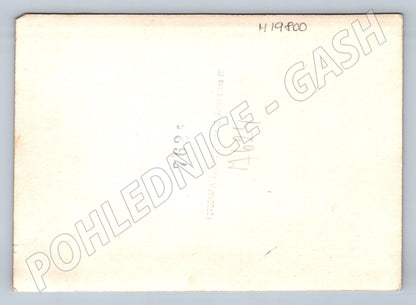 Pohlednice portrét žena ve svatebních šatech a závoji (M19800)