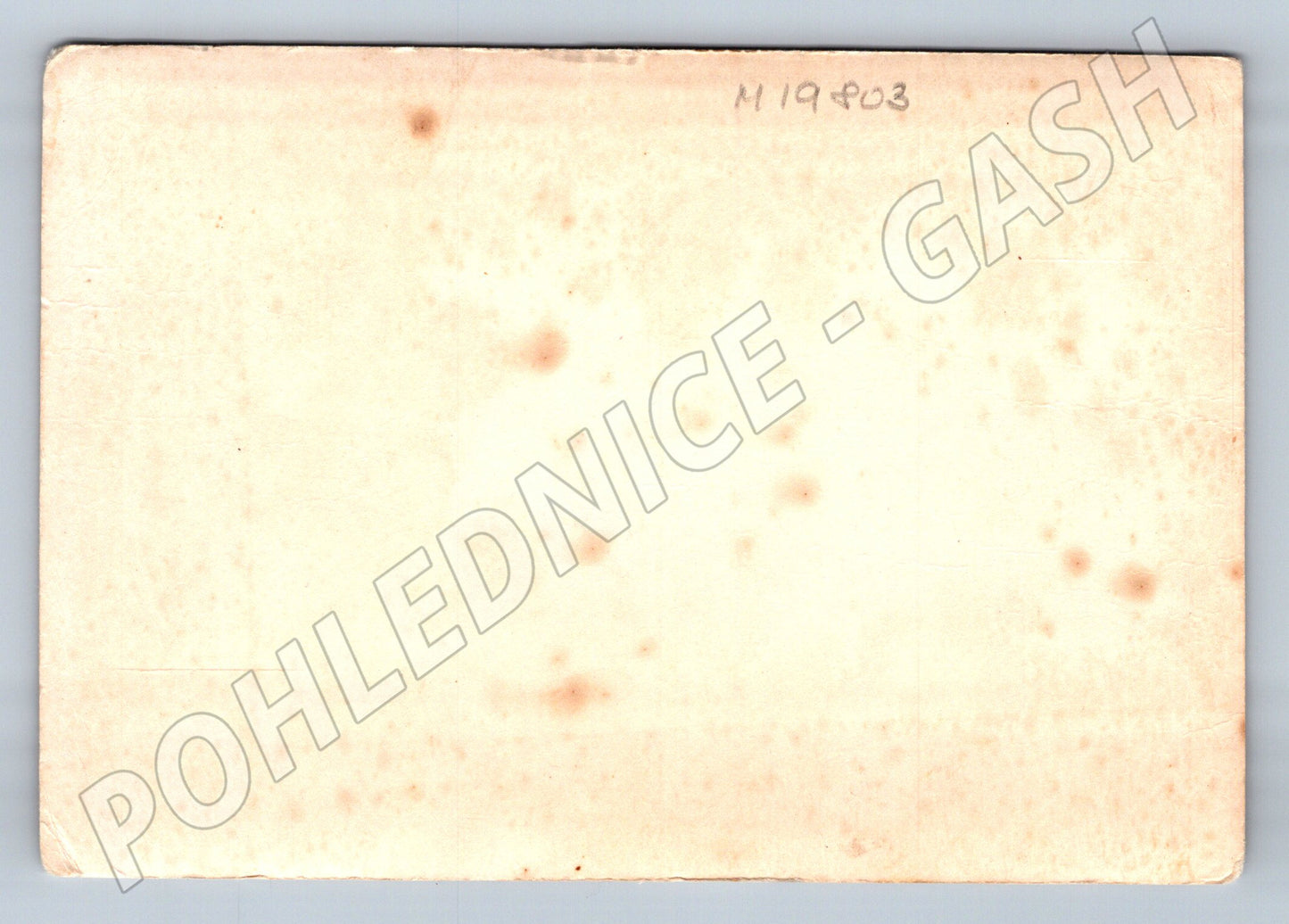 Pohlednice svatební černobílá fotografie (M19803)