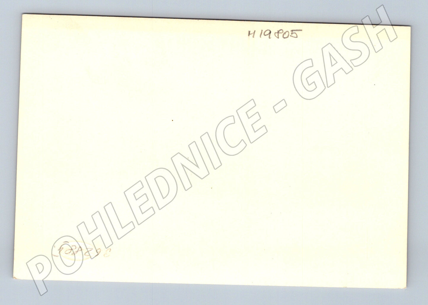 Pohlednice svatební ženich a nevěsta portrét (M19805)