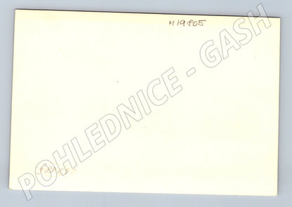 Pohlednice svatební ženich a nevěsta portrét (M19805)