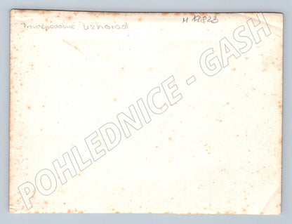 Pohlednice Hra mladých mužů na louce Užhorod (M19823)