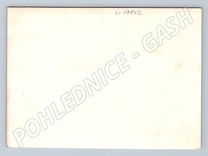 Pohlednice ČR školní foto 1. polovina 20. století (M19842)