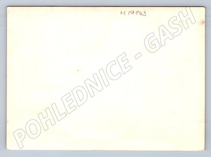 Pohlednice dětský tábor skupina dětí 1943 (M19843)