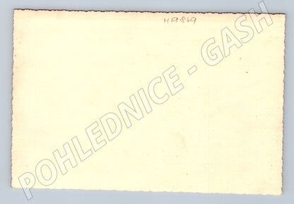 Pohlednice Dobová pohlednice průvod s historickým autobusem 4 (M19849)