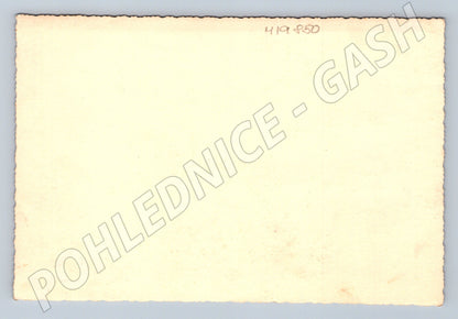 Pohlednice skupina lidí ve městě ČR malý formát před 1950 (M19850)