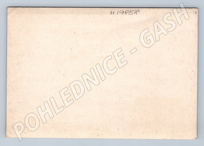 Pohlednice historická budova mezi stromy začátek 20 století (M19858)