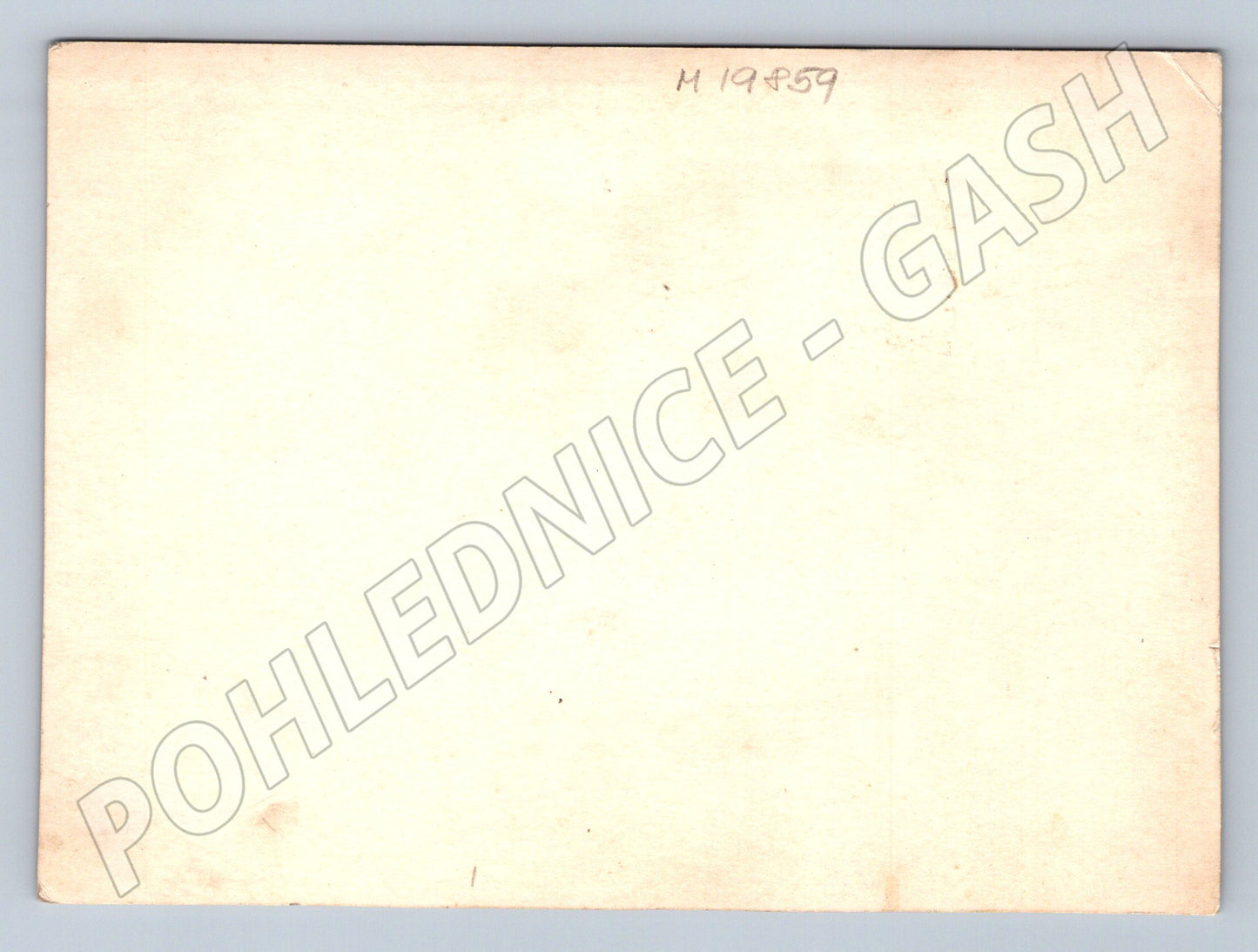 Pohlednice černobílá portrét muž a žena 1 polovina 20 století (M19859)