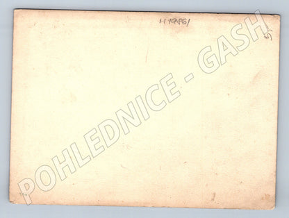 Pohlednice Vánoční rodinná ČR do 1950 malý formát (M19861)