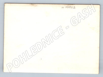 Pohlednice portrét ženy černobílá 20. století (M19863)