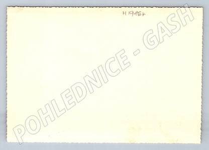 Pohlednice portrét politika černobílá (M19864)