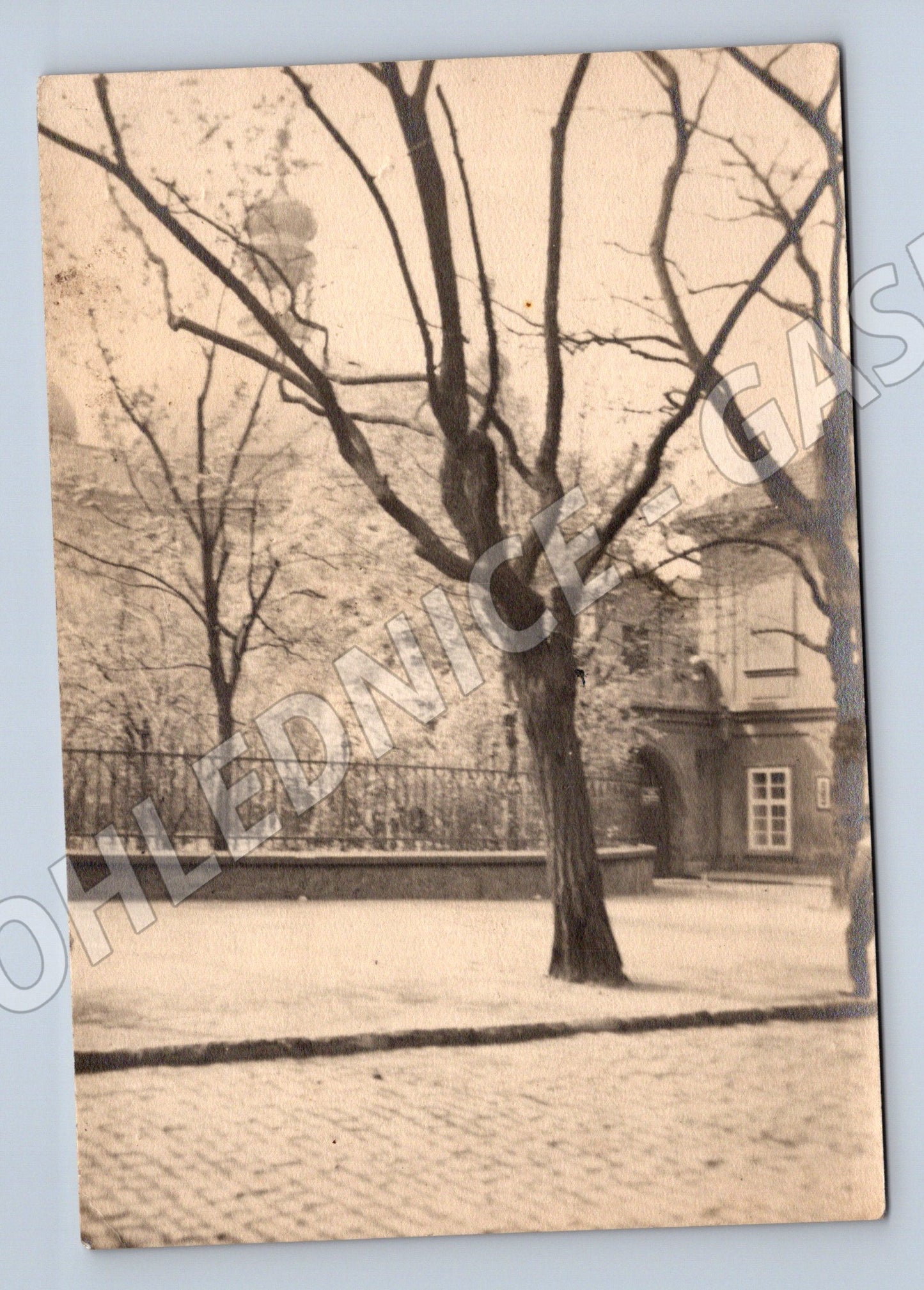 Pohlednice zimní krajina strom domek malý formát (M19885)