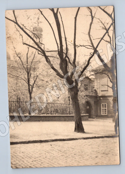 Pohlednice zimní krajina strom domek malý formát (M19885)