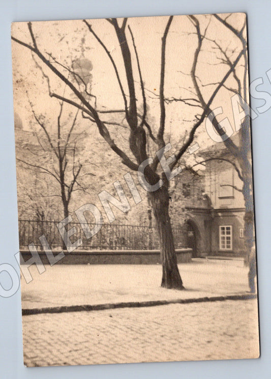 Pohlednice zimní krajina strom domek malý formát (M19885)