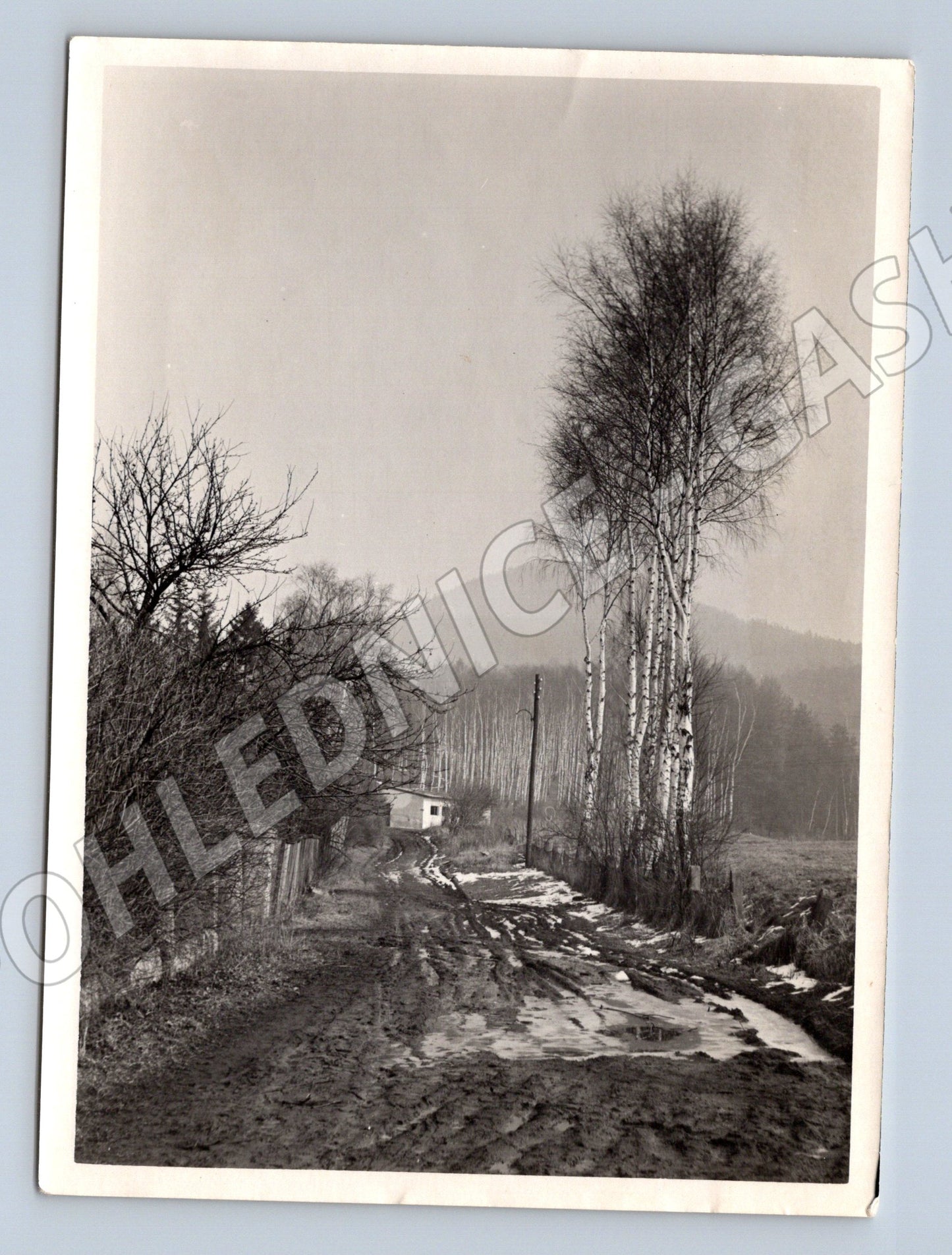 Pohlednice Cvikov krajina černobílá (M19888)