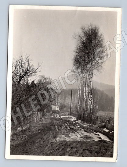 Pohlednice Cvikov krajina černobílá (M19888)