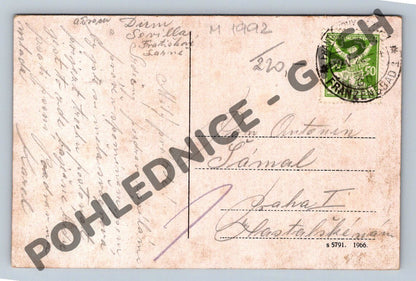 Pohlednice Františkovy Lázně Louisinenquelle kolorovaná 1902 (M1992)