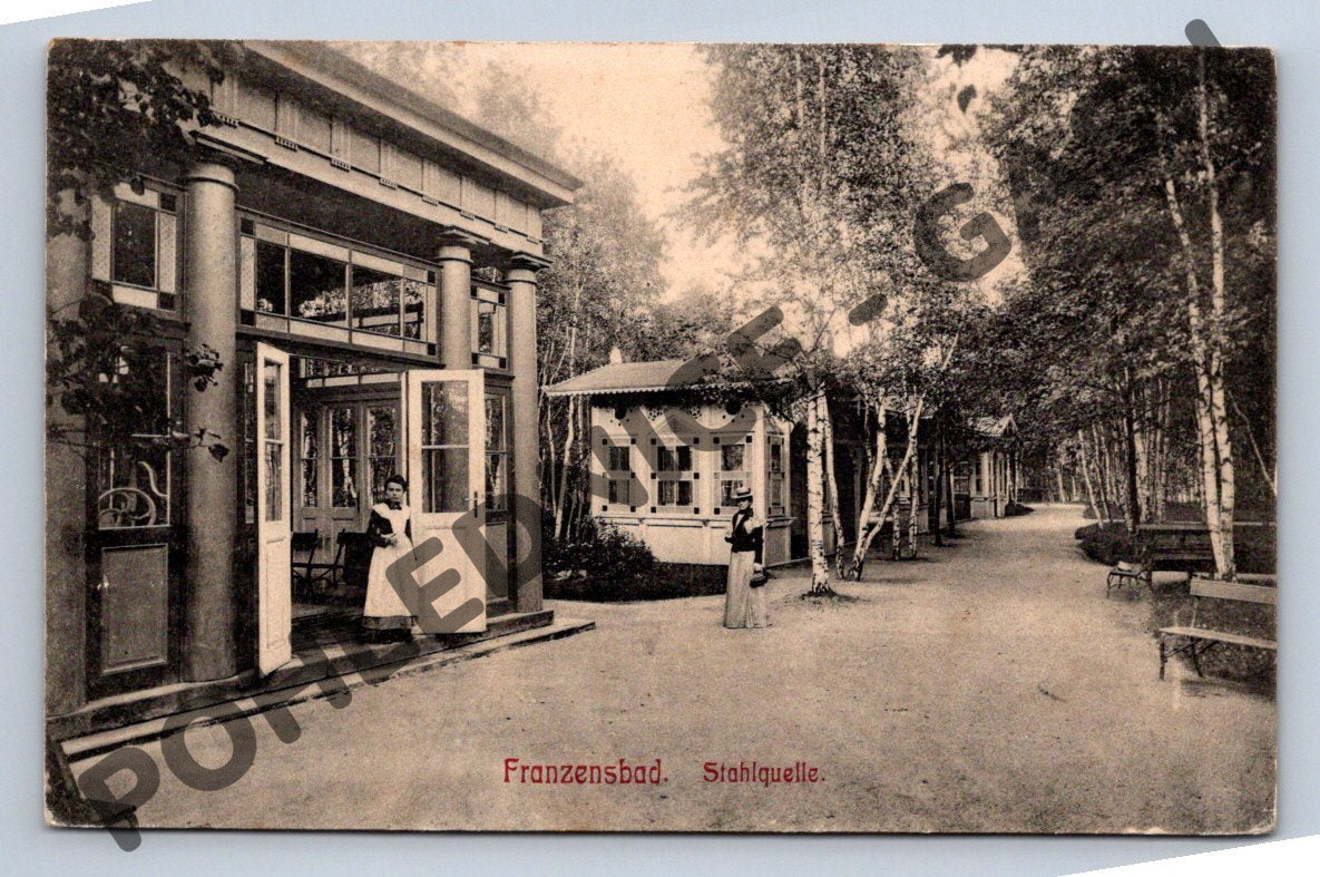 Pohlednice Františkovy Lázně Stahlquelle (M1993)