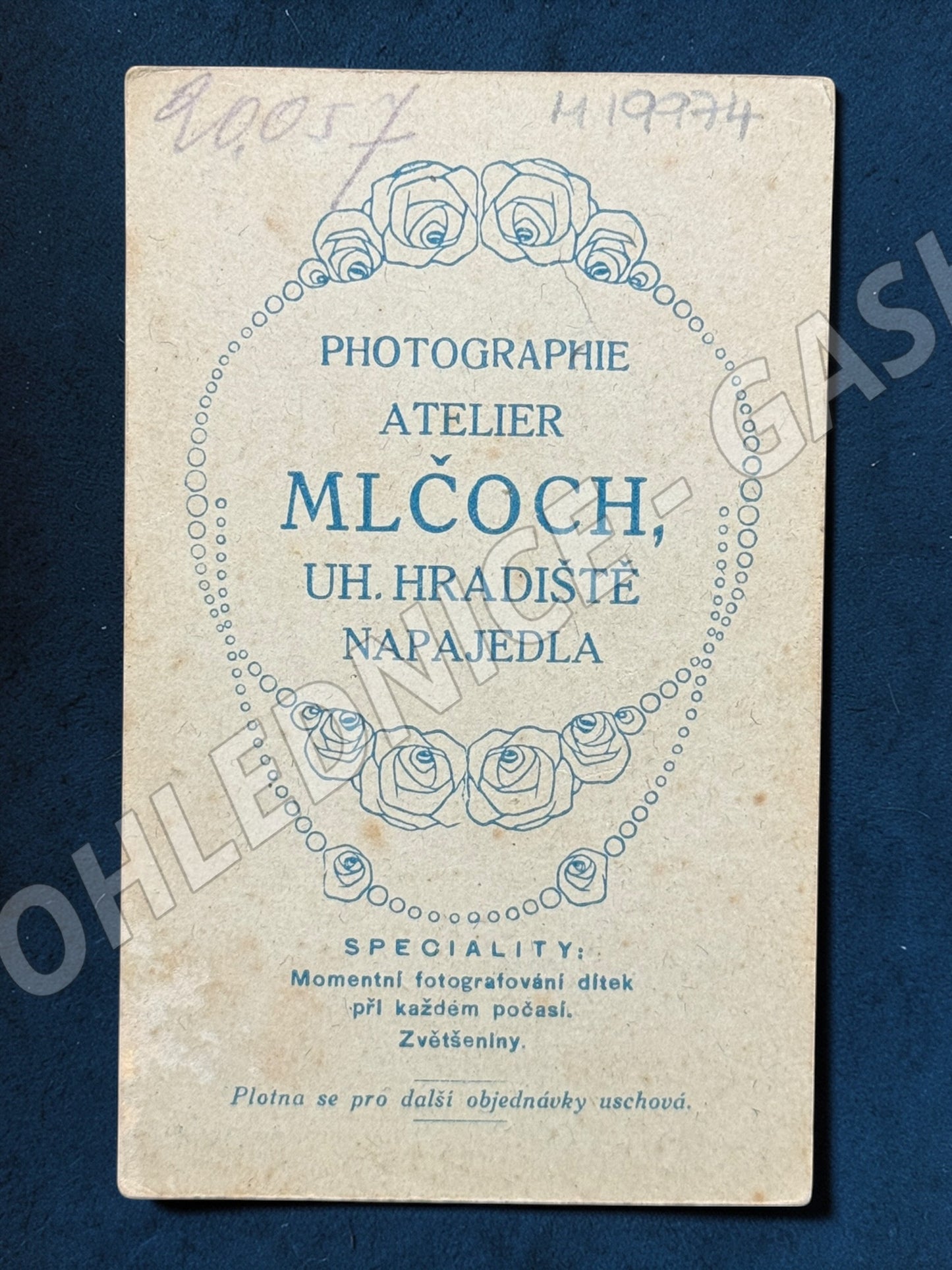 Fotografie Uh. Hradiště dívka s květinami ateliér Mlčoch (M19974)