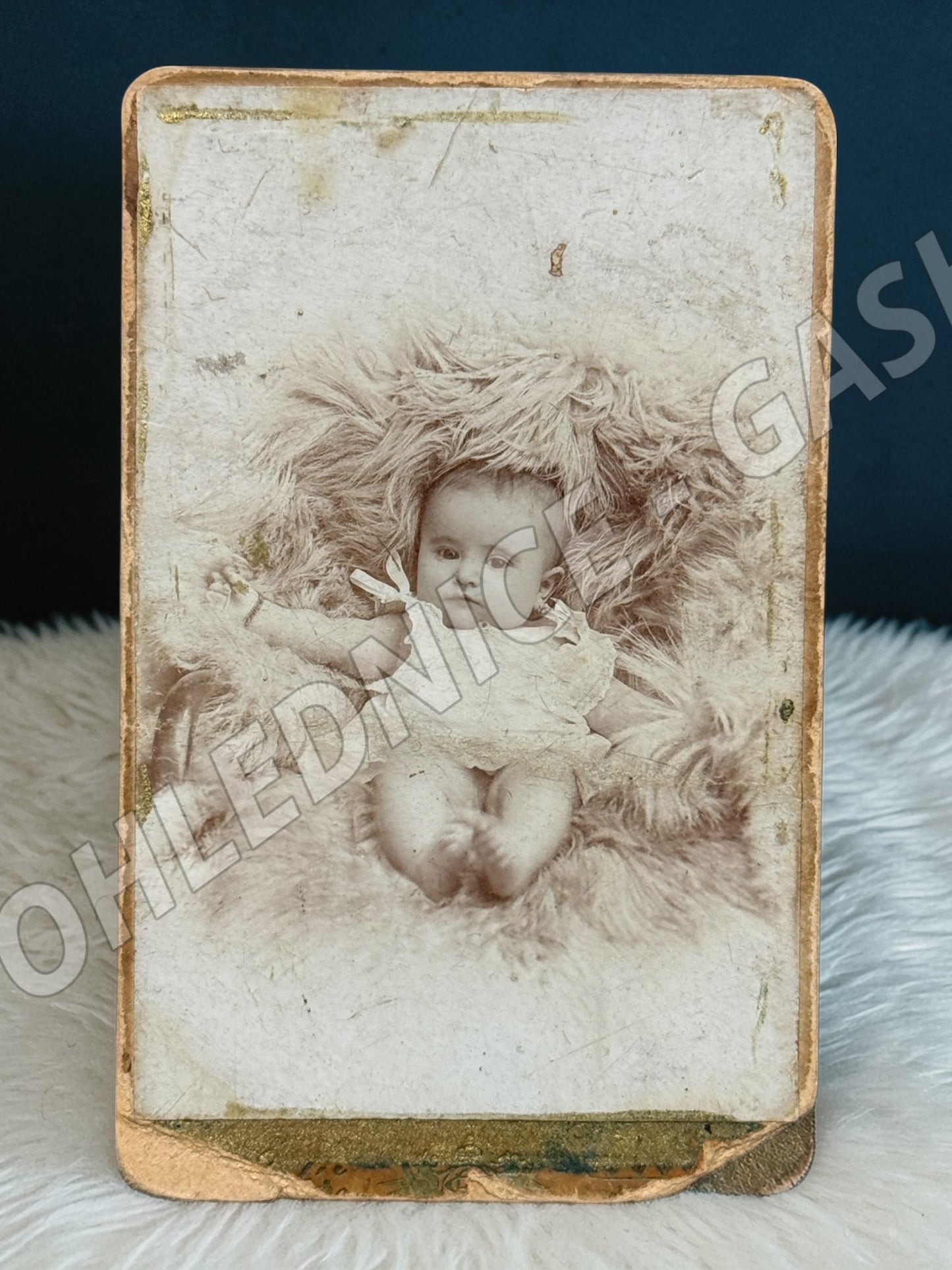 Stará fotografie Kladno miminko na kožešině ateliér F. Štýr (M19976)