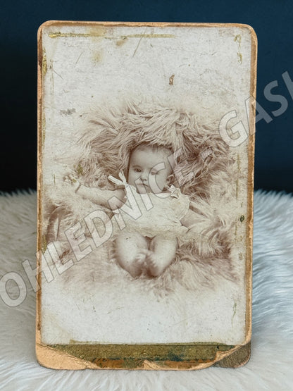 Stará fotografie Kladno miminko na kožešině ateliér F. Štýr (M19976)