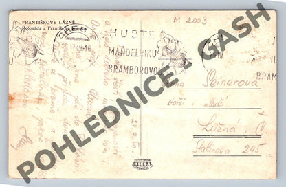 Pohlednice Františkovy Lázně kolonáda 1919 (M2003)