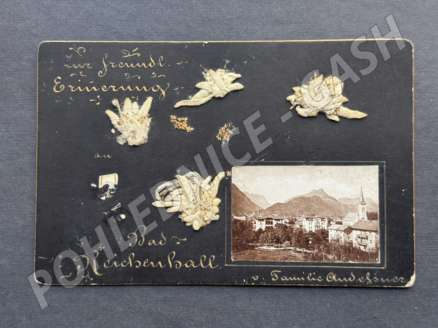 Stará fotografie Bad Reichenhall s protěží (M20071)