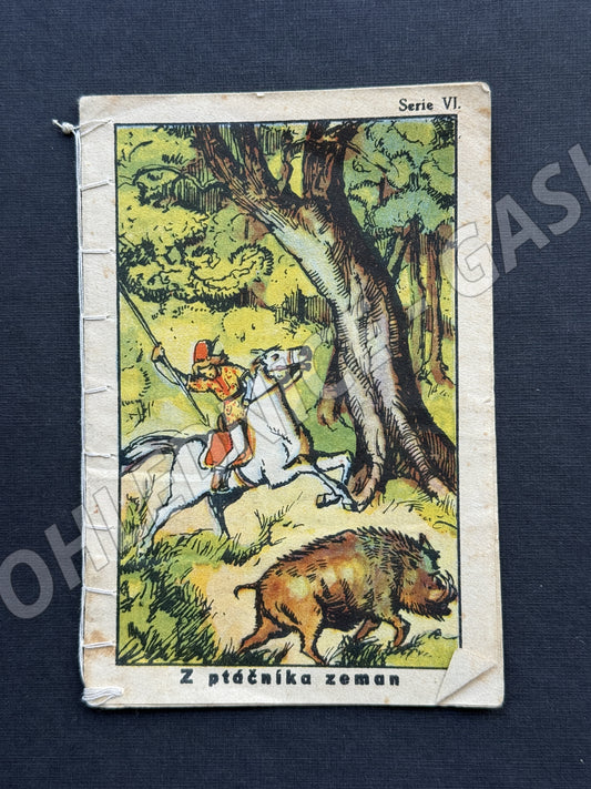 Pohlednice Z ptáčníka zeman, boj s kancem, reklama Eva (M20122)
